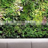 Anti uv Hotsale Home Decor Fake Green Wall for Indoor and Outdoor Decor thumbnail-2