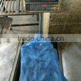 Fresh Frozen Sardine (Sardinella Longiceps) WR for Canning thumbnail-2