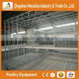 Heracles Factory Price Poultry Farming Equipment H Type Chicken Layer Cage for Sale thumbnail-4