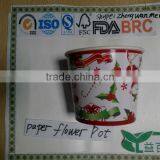 Mini Plant Pots Paper Box Planting Promotion Gift thumbnail-1