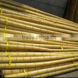 Bamboo Pole Green Gadern Building Bamboo Towel Material Wholesale Manufacturer