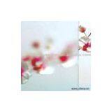 Sell Acid Etched Glass thumbnail-1