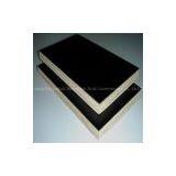 1220x2440mm Film Faced Plywood thumbnail-1