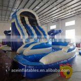 Giant Inflatable Water Slide for Adult,Ace Summer Water Slide,adult Size Inflatable Water Slide