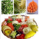 Vegetable Cutter Machine Industrial Vegetable Chopper Dicer Slicer Cutter,vegetable Dicer Cutting Machine thumbnail-5
