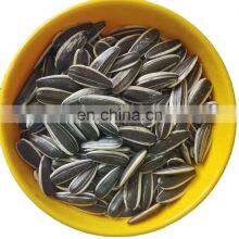 Wholesale Price Bulk Sunflower Seeds 361 363 601 for Egypt Egyptian Market thumbnail-3