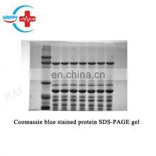 HC-B025A Hot Sell Fully Automatic Gel Documentation System With Touch Screen/Integrated Gel Imaging System With Embedded PC thumbnail-3