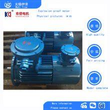 YBX4 Three-phase Asynchronous Explosion-proof Motor thumbnail-5