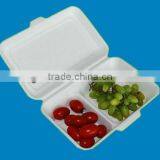 Christmas Kitchen Dinner Green Compostable Disposable Recycle Food Packaging