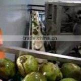 Industrial Young Coconut Grating Machine thumbnail-2