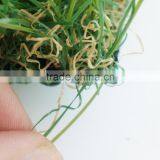 20mm Landscape Artificial Grass Yarn thumbnail-4