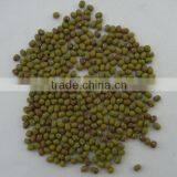 Good Mung Beans thumbnail-1