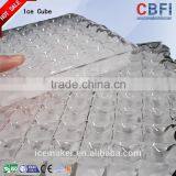 Artificial Ice Cube Making Machine With 5 Ton Production