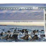 1.8m Espon Fifth Print Head Water-based Indoor Printer thumbnail-1