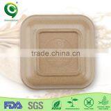 Eco Friendly Organic Material Biodegradable Restaurant Dinner Plate thumbnail-5