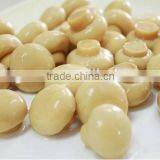 Canned Food Canned Champignon Canned Mushroom/champignon thumbnail-2