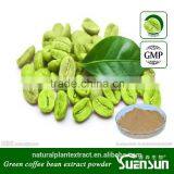 Factory bulk supply green coffee bean extract with low price