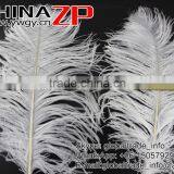 CHINAZP Factory Wholesale 14inch to 16inch Dyed Royal White Ostrich Fethers for Sale thumbnail-5
