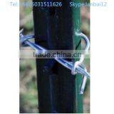 Fence T Post for American Market thumbnail-6