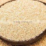 Indian Amaranth thumbnail-2