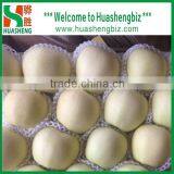 2016 Chinese Golden Delicious Fresh Apple With Best Quality thumbnail-5
