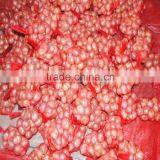 Fresh Onion Supplier Manufacturer thumbnail-1