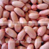 Blanched Red Skin Peanut Kernels 24/28 28/32 50/60