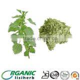 100% Top Quality Wild Nettle leaf powder/ Nettle powder 10:1