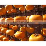 Cheap Price of Dried Fruits making Hanger Clip Hook