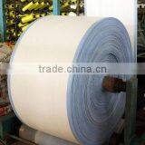 China Woven pp Fabric Roll With High Quality and SGS Certification thumbnail-5
