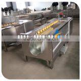 Industrial Brush Type Vegetable and Fruit Washing Machine thumbnail-1