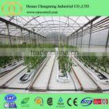 Cheap Polycarbonate Agricultural Greenhouse , Low Cost Tunnel Plastic Greenhouse for Sale thumbnail-4