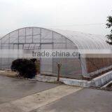Cheap Agriculture Greenhouse thumbnail-1