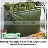 Carrot Patio Planter Bag,Growing Bag