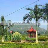 Wind Resistance UV Proof Artificial Royal Palm Tree in High Quality thumbnail-1