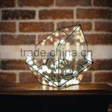 Medium Terrarium Icosahedron Stained Glass Vase Planter for Indoor thumbnail-1