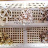 500g Seafood Mix thumbnail-5