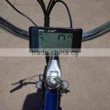 3 Wheel Electric Trike Electric Cargo Trike for Sale thumbnail-6