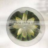 Dia 14.5cm Bathtub Dragonfly Led Light Spa Pool Dragonfly Light thumbnail-1