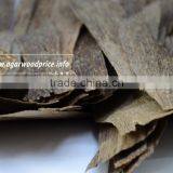 Special Fragrance From High Quality Agarwood Chips/ Oud Chips/ Gahura Chipa in Vietnam thumbnail-1