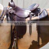 Horse Custom trail saddle