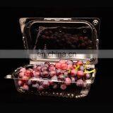 HAS VIDEO PS PP PET Disposable Plastic Food Container Machine thumbnail-1