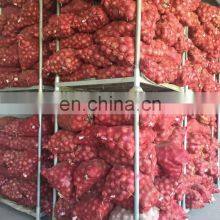 BRC A Approved High Quality Non-peeled Fresh Vegetable Red Onion From Sinocharm thumbnail-4