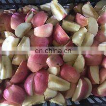 Apple Peach Core Remove Machine/Fruit Pitting Machine Cherry Corer thumbnail-5