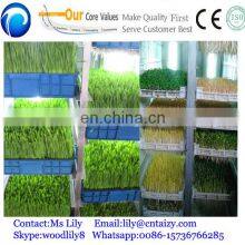 Seed Sprout Machine Barley Sprout Machine thumbnail-3