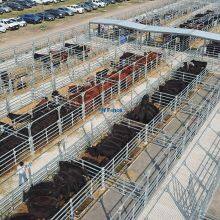 Welded Easily Assembled Horse Farm and Cattle Fencing Durable PVC Coated Panels Livestock Fence thumbnail-5