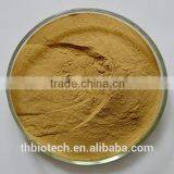 Manufacturer Pure Natural High Quality Ginger Extract, Ginger Root Extract, Ginger Extract Powder thumbnail-2