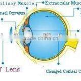 China MCT-A/High-end MCT Technology For Child Amblyopia thumbnail-4