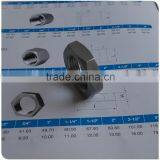 Lock Nut Hexagonal 3/4" Female NPT Thread 304 Stainless Steel thumbnail-1
