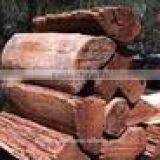 KLAY Wood Fired Ovens for Garden Cooking and Retrofits thumbnail-2